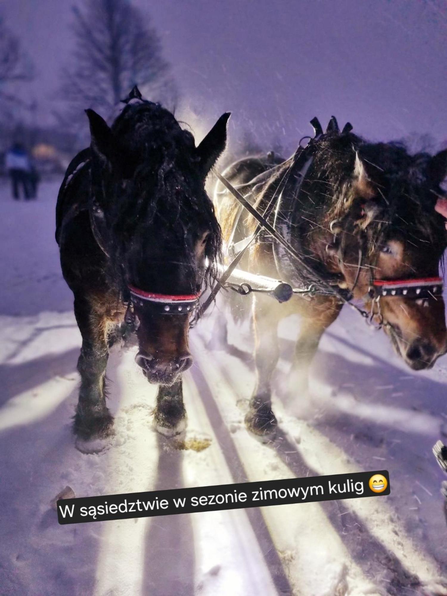Zacisze W Karkonoszach Villa Karpacz Eksteriør bilde